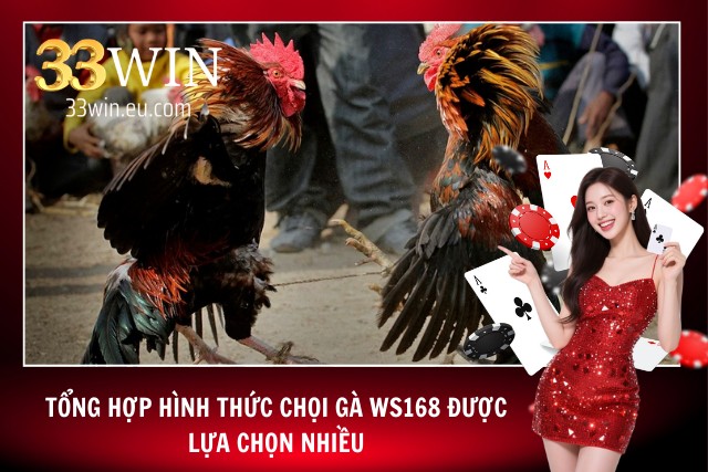 Đá Gà Sảnh WS168 - Tận Hưởng Đấu Trường Uy Tín Và Đỉnh Cao 4 loại hình chọi gà được yêu thích tại sảnh WS168