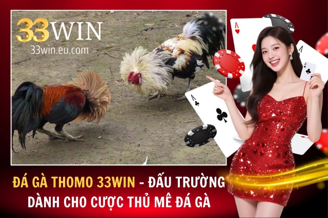 Đá Gà Thomo